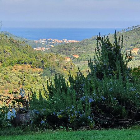 Villa Claudia Quiliano エクステリア 写真
