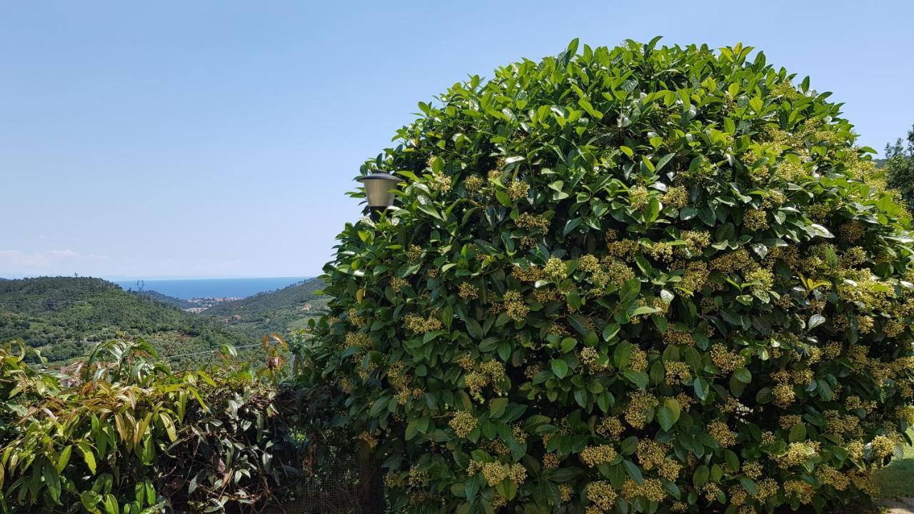 Villa Claudia Quiliano エクステリア 写真