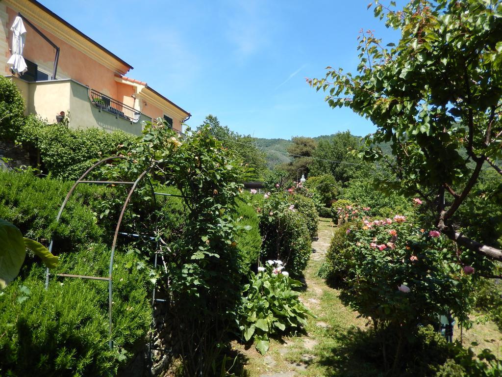 Villa Claudia Quiliano エクステリア 写真