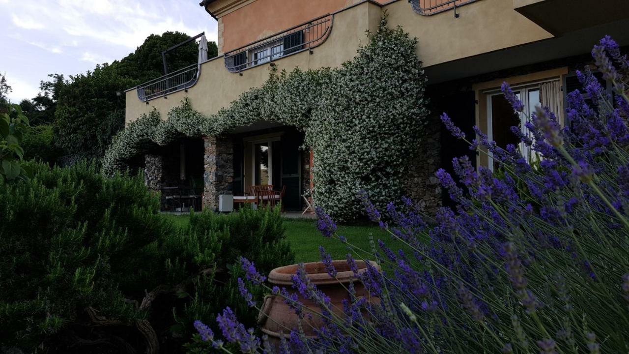 Villa Claudia Quiliano エクステリア 写真