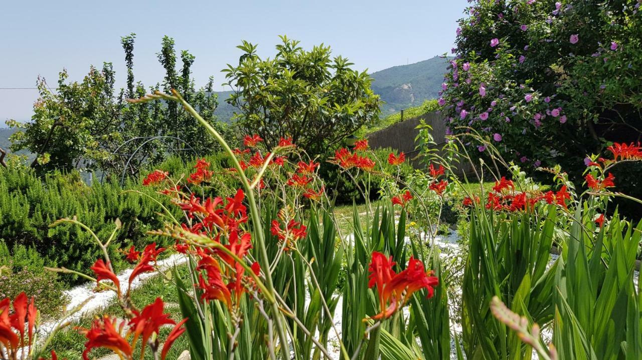 Villa Claudia Quiliano エクステリア 写真